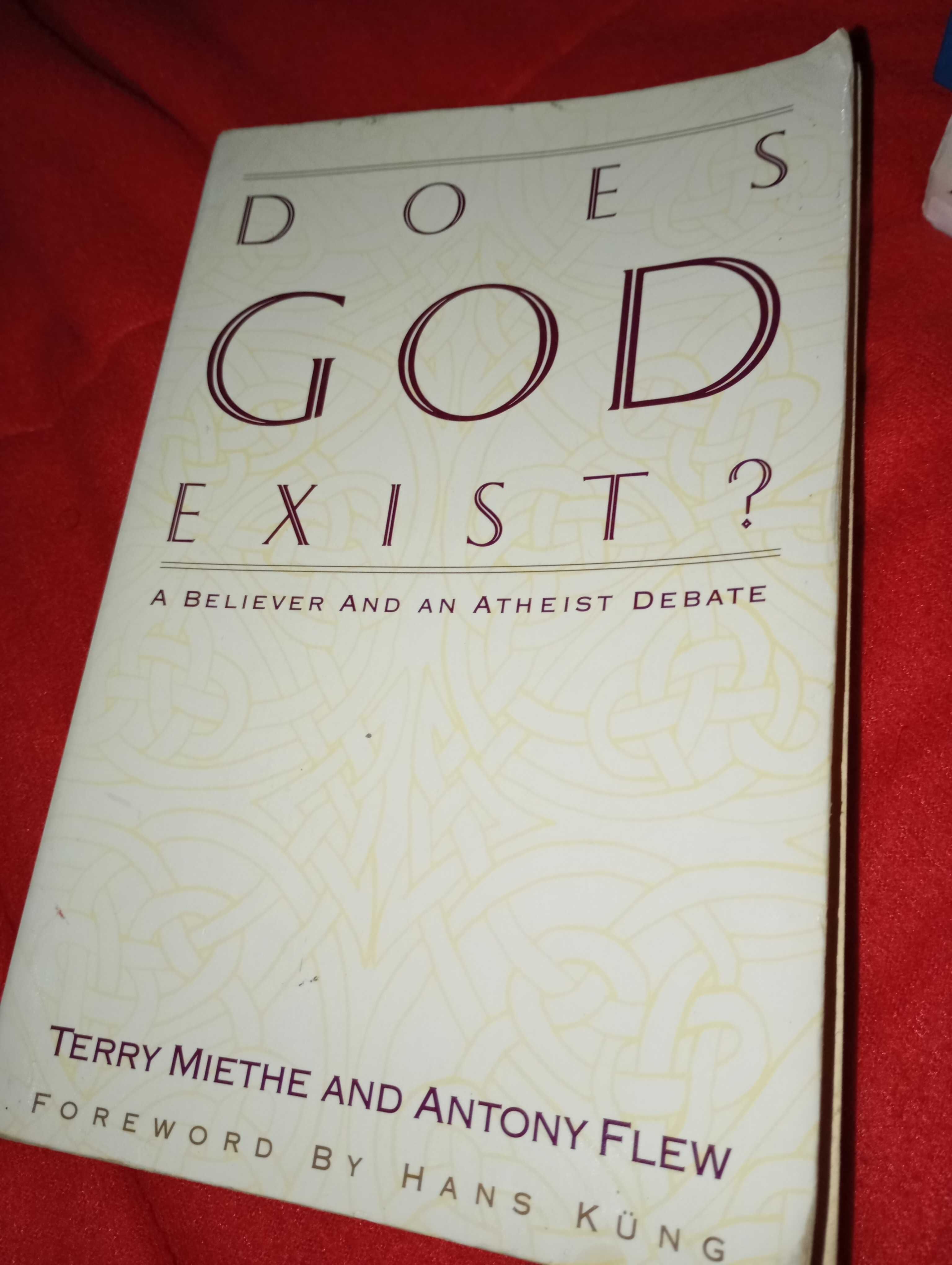 DOES GOD EXIST - MIETHE & FLEW