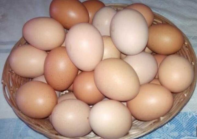 яйцо, домашние куриные яйца. 100 руб