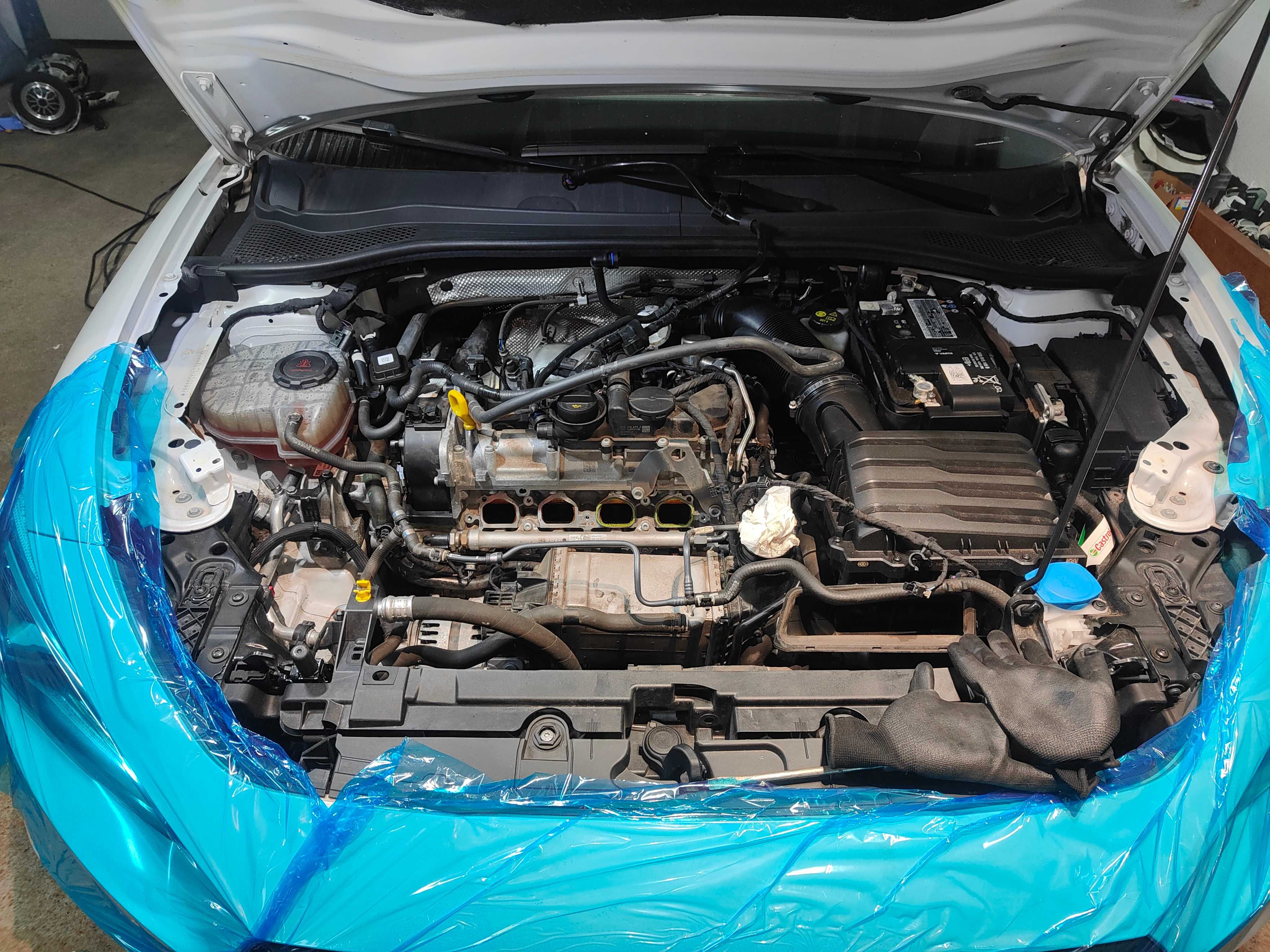 Czyszczenie nagaru na zaworach / dolotu 1.2, 1.4, 1.5, 1.8, 2.0 TSI