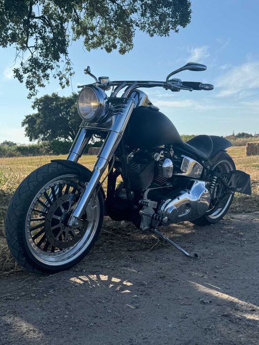 Harley Davidson FAT BOY  one of one Costum