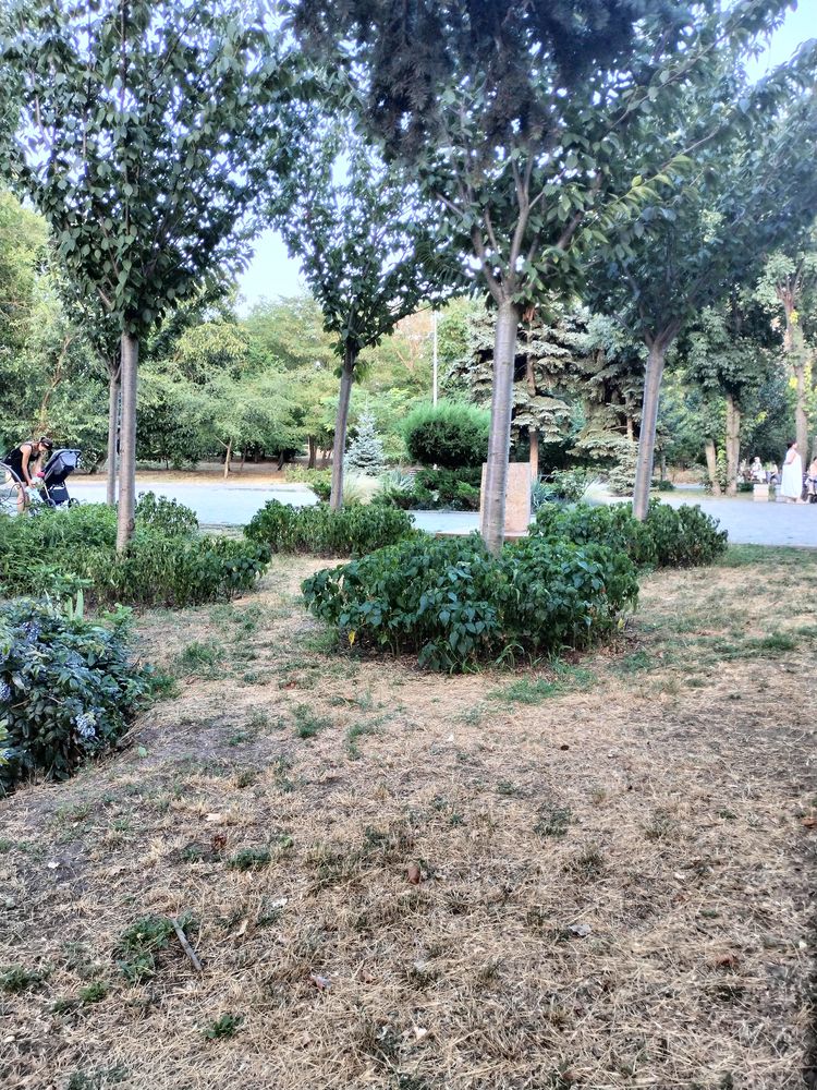 Квартира-студия 33 м² с балконом, 5-я Фонтана, 2 этаж