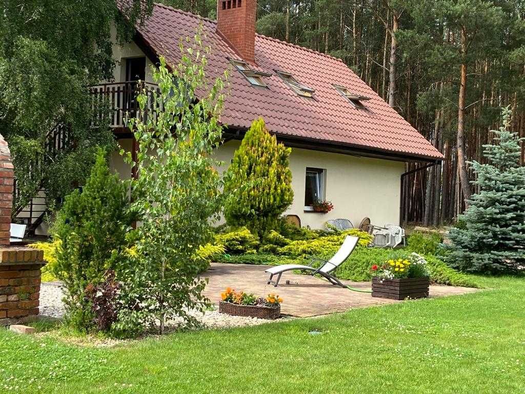 Bednarzówka - dla miłośników przyrody i pracowników | WOLNE W LIPCU