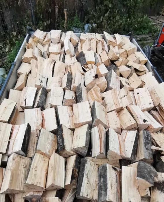 Drewno opałowe i kominkowe – Dąb, Buk, Grab, Brzoza, Sosna, Olcha,