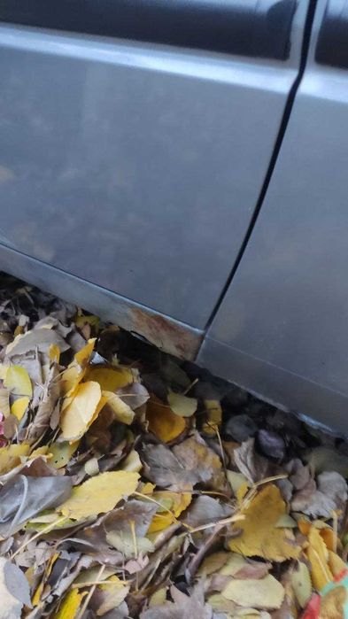 Славута 2010 г. салон люкс