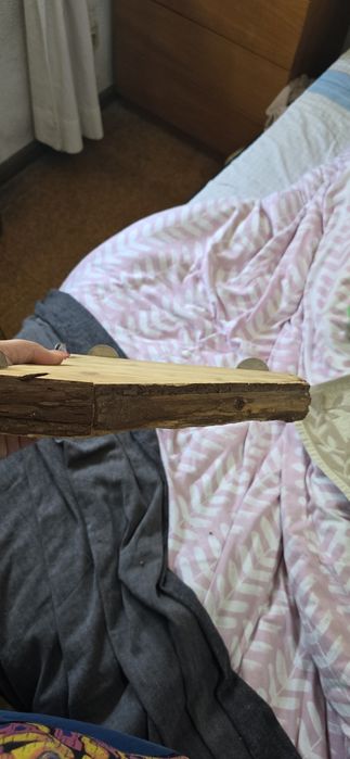 Plataforma para gaiola