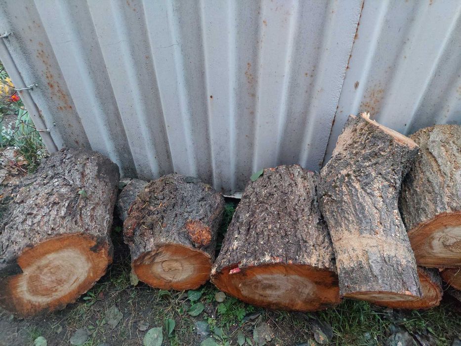 Дрова фруктовые, абрикос