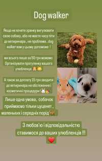 Dog walker - вигулювач собак