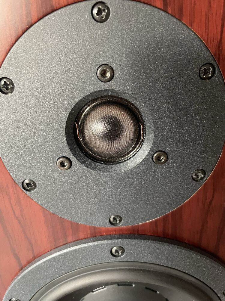 Dynaudio Focus 220 mkII w swietnym stanie, zamiana