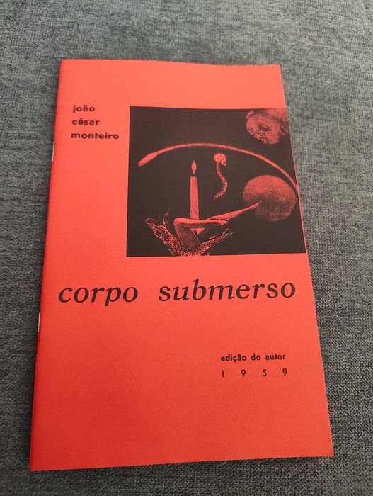 Corpo submerso - João César Monteiro