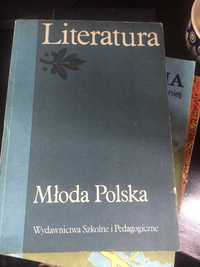 Stary podręcznik do j. polskiego, Literatura Młoda Polska, Weiss, 1989