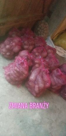 buraki ćwikłowe  , ziemniaki