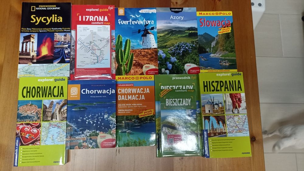 Przewodnik turystyczny