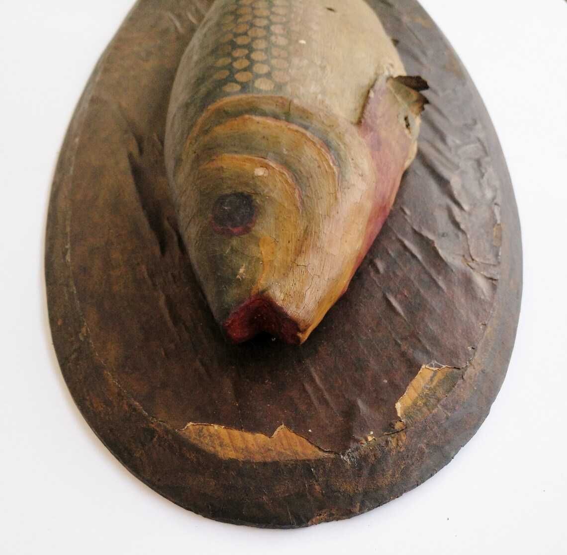 Antigo troféu de pesca em pasta de papel