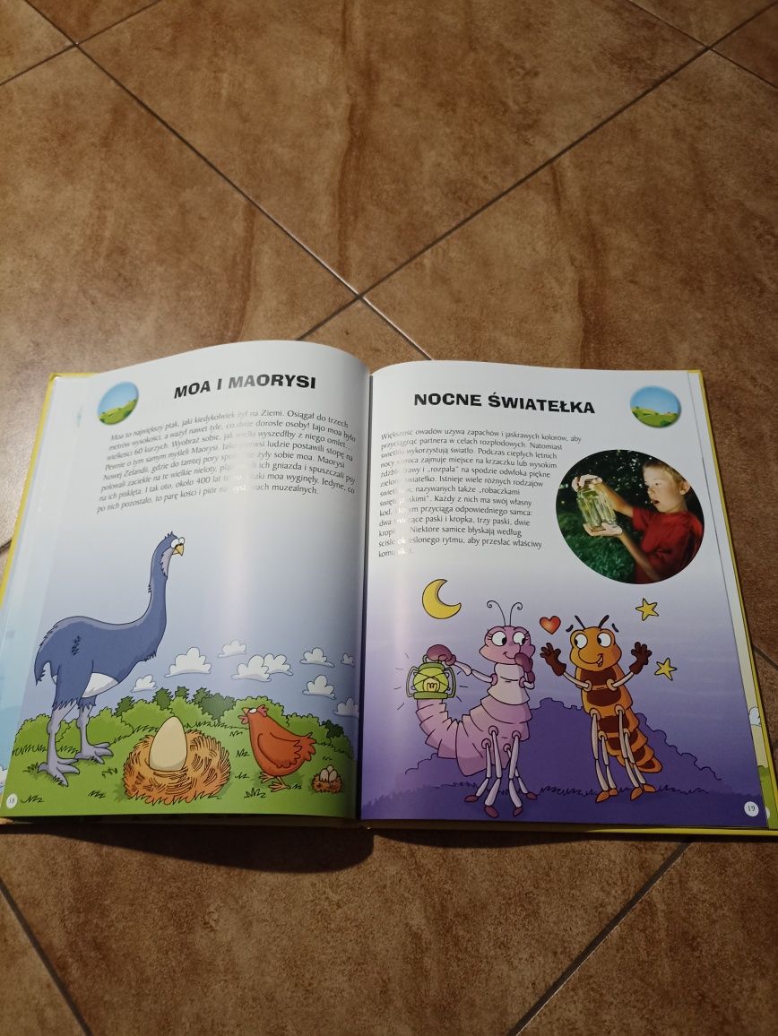 Książka dla dzieci Zwariowane zwierzęta