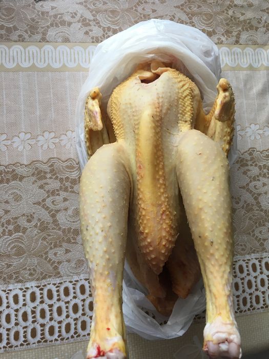 Tuszki kaczek wiejskich / kaczki / koguty / kaczory