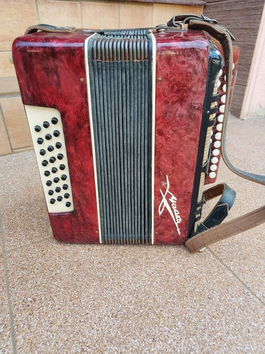 Гармонь Чайка 2 нова