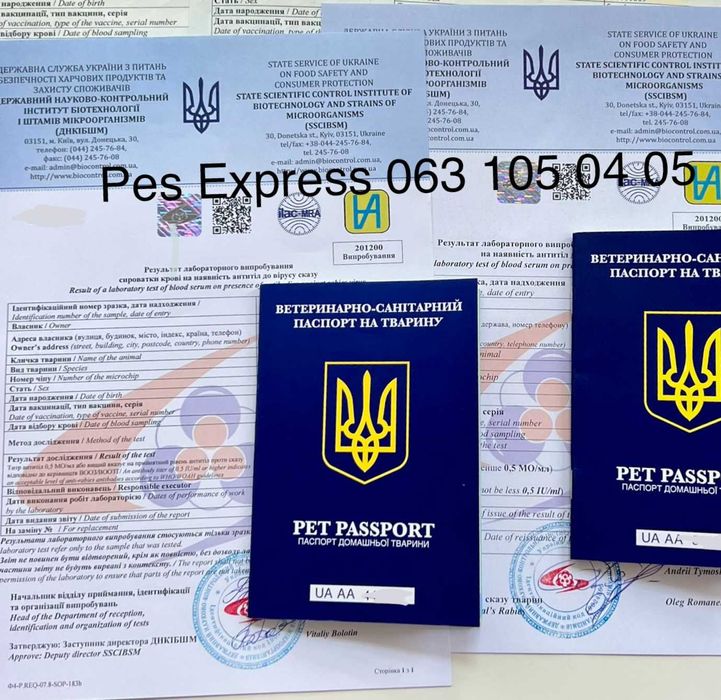 Документы животным заграницу (паспорт, титры, форма 1)
