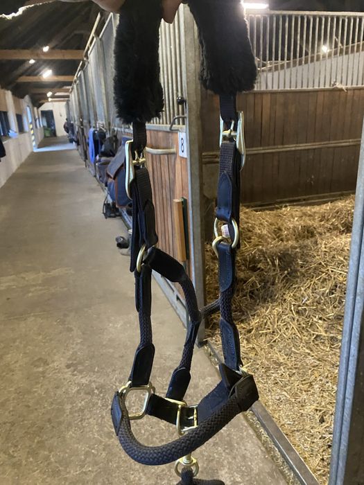 Kantar cavallo z uwiązem cob