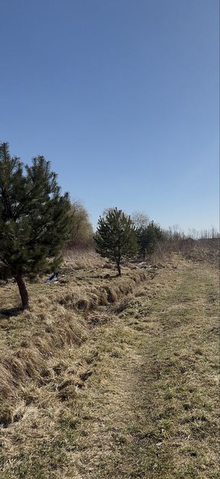 Продається ділянка під забудову в Пасіках Зубрицьких - Сопрано