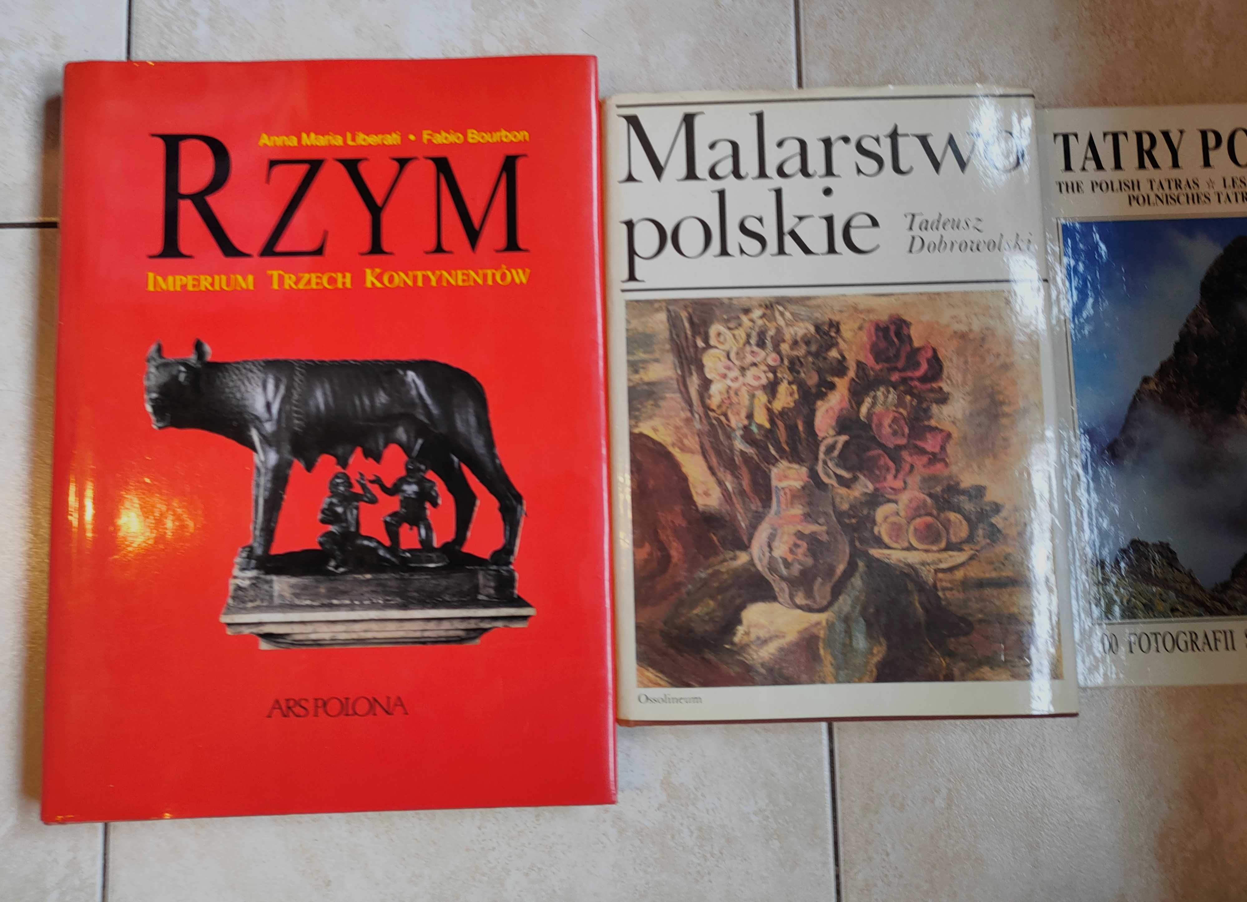 Albumy RZYM Malarstwo Polskie Tatry Polskie