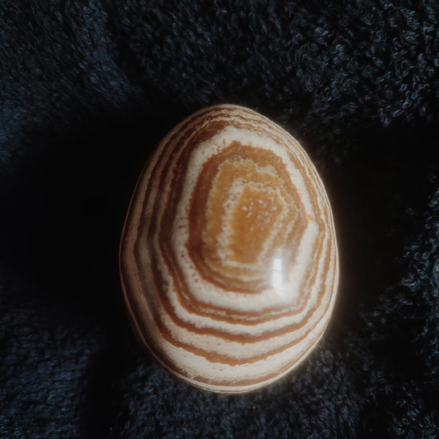 Ovo (de costura)