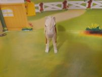 Playmobil Srokaty kucyk z amazonką i motyle