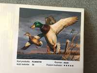 NOWY Obraz malowanie po numerkach rozmiar 40x50 cm iPicasso kaczki