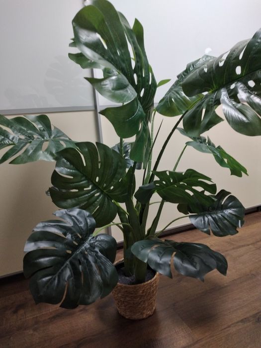 Monstera sztuczna