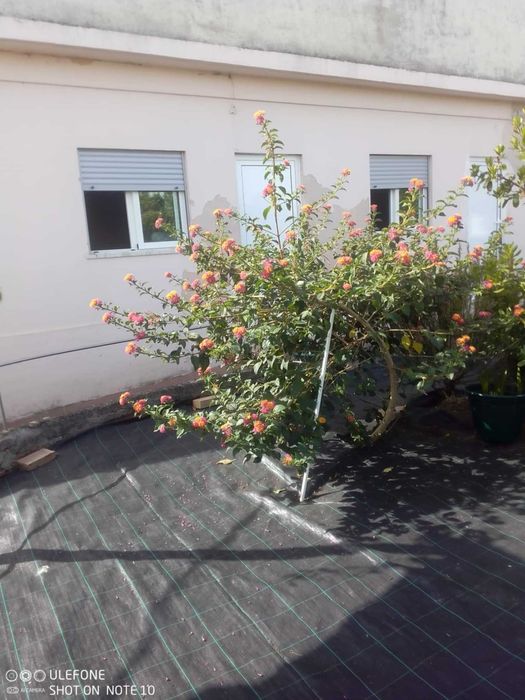 Quarto aluga-se a estudantes