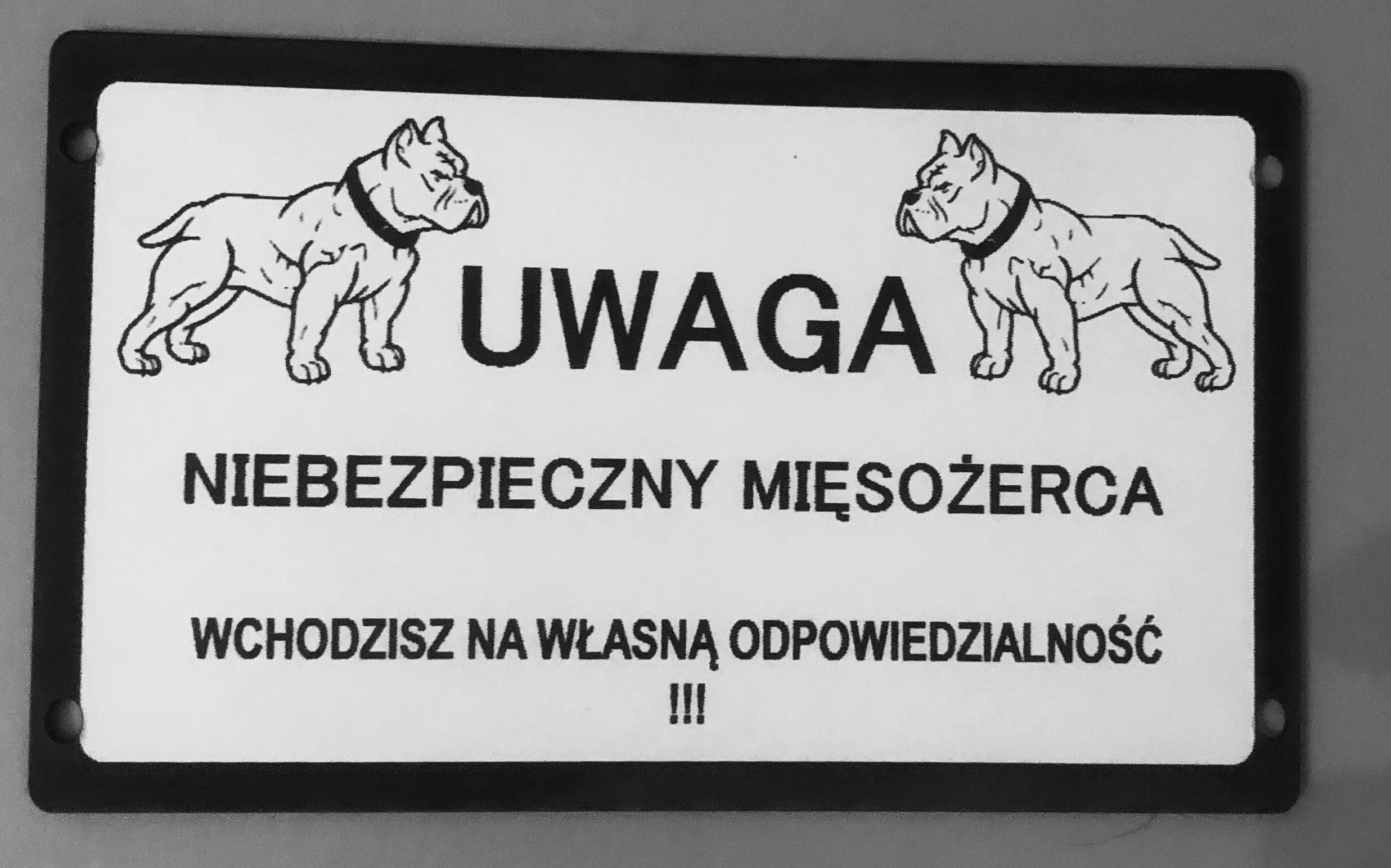 Tabliczki uwaga pies