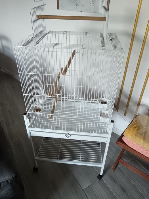 Gaiola Passaro grande