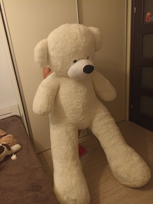 Sprzedam misia pluszowego