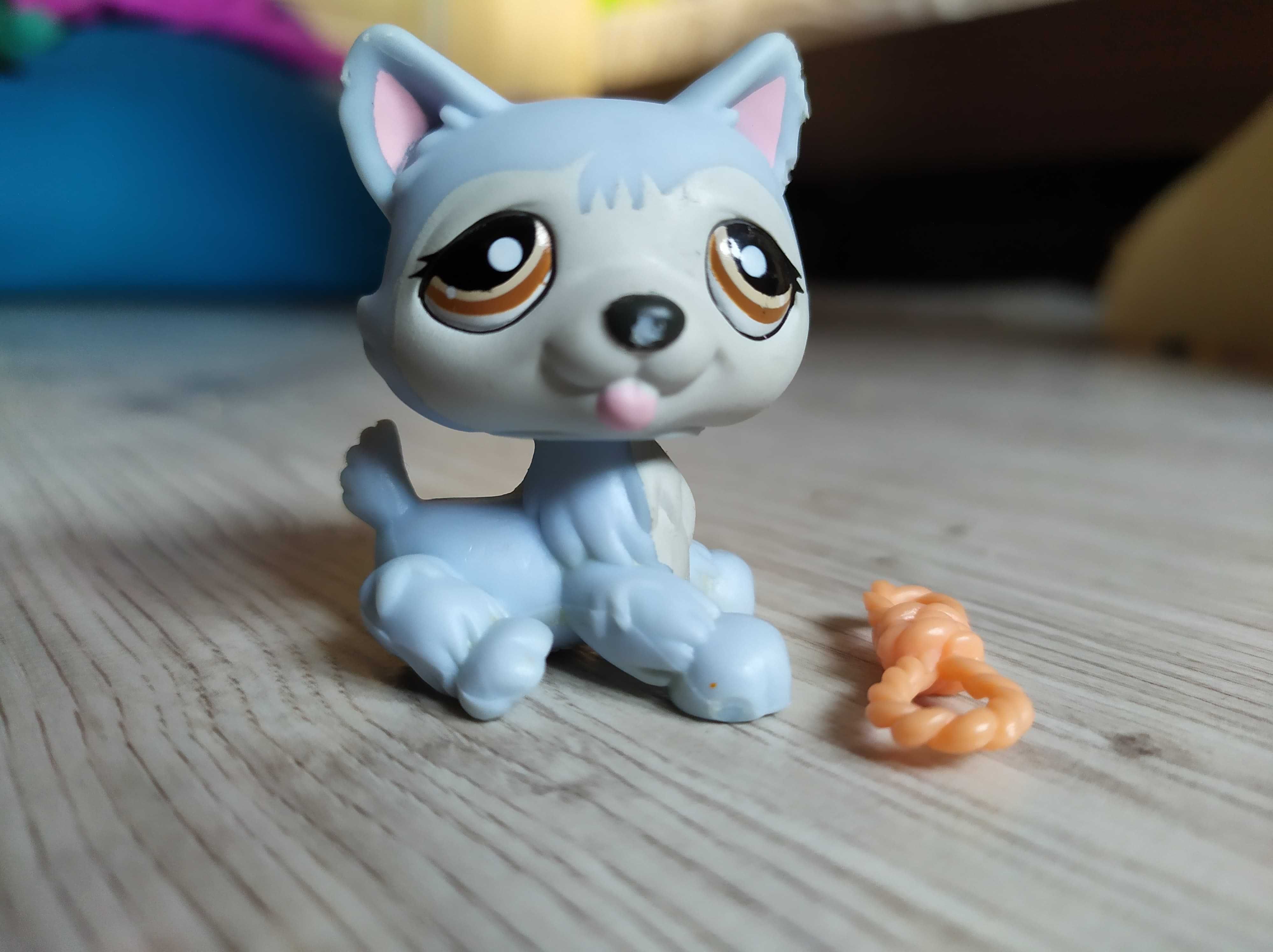 Figurka LPS #1046 Pies Husky