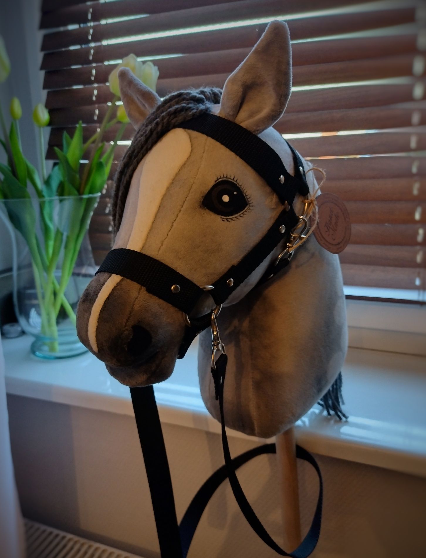 Hobby Horse, koń na kiju