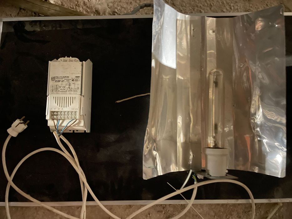 Grow Light with Ballast 600w HPS