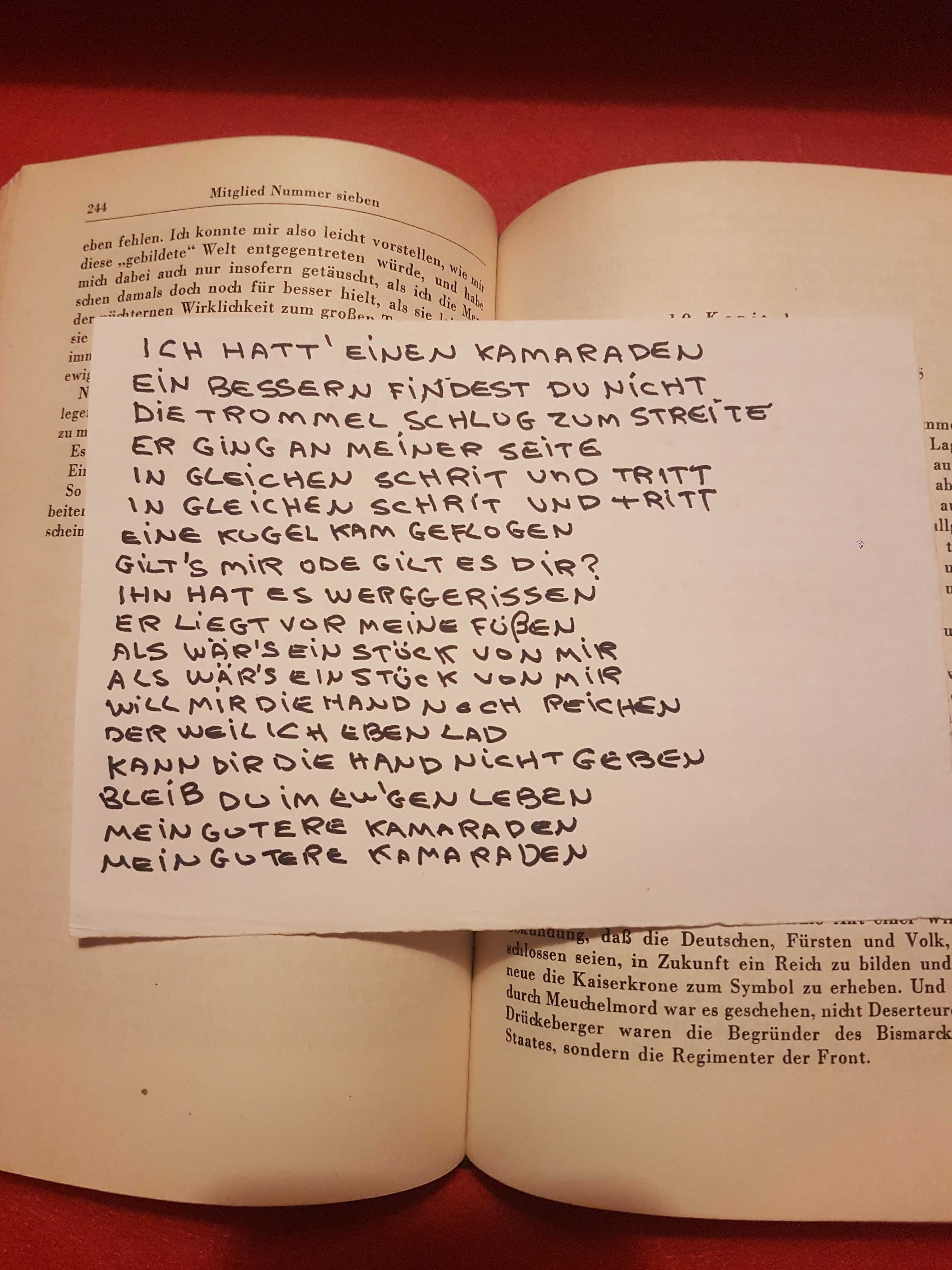 Mein Kampft Original Peça Única