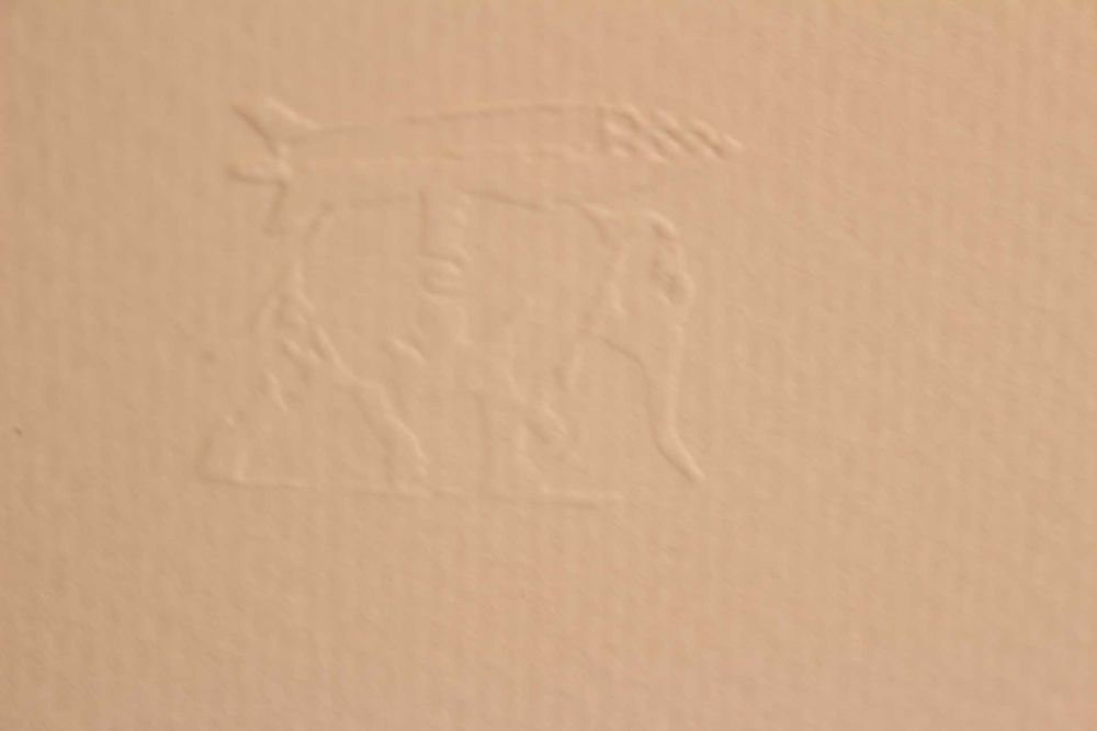 Banksy Litografia Numerada e Assinada a lápis pelo Artista 50x35 cm