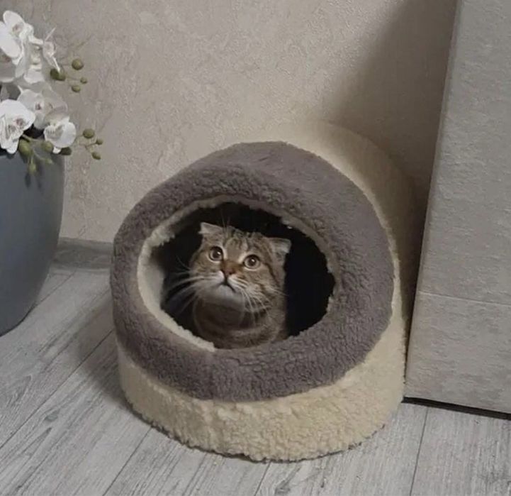 Хутряний будиночок домик лежак хатинка для кота собачки кошки 2 розмір