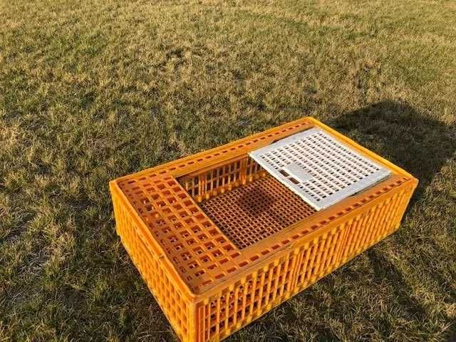 klatki klatka skrzynka do transportu drobiu ptaków,