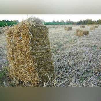 Słoma kostka duża dla psa podłoże ściółka do budy.