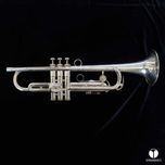 Trąbka Holton ST 304 MF Maynard Ferguson  ustnik futerał gamonbrass