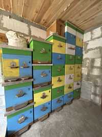 Продам пасіку без бджіл (Сумська область)
