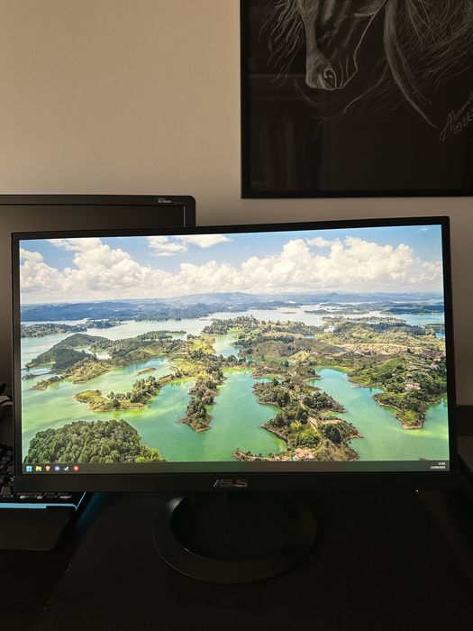 Monitor Asus 24’