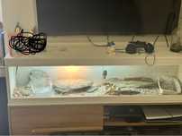 Terrario completo