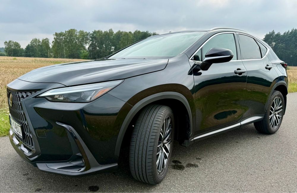 Lexus NX 250  2024