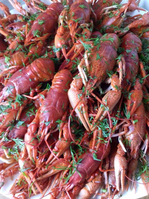 Продам свіжевиловлені раки живі та варені розміри різні ціни уточнюйте