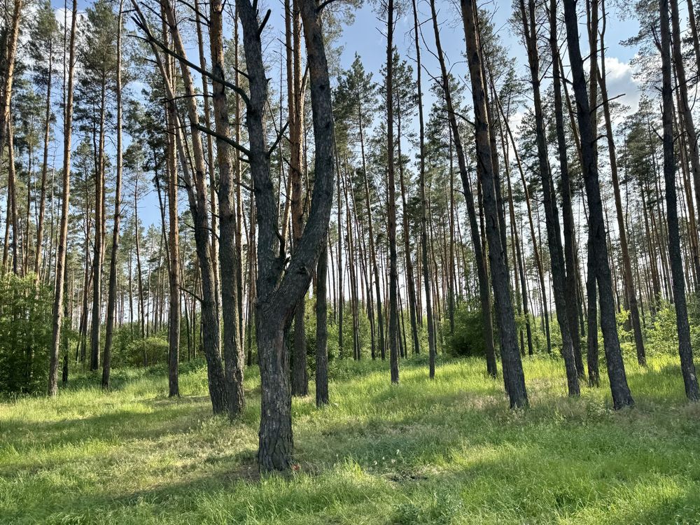 Земельна ділянка біля озера! 20 соток. Нове Залісся.