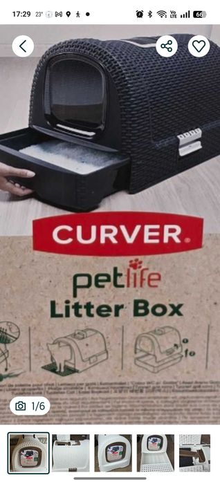 Kuweta dla kota solidna + żwirek