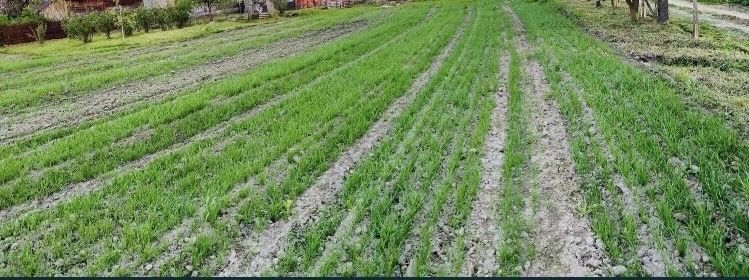 Продаж землі !!!
