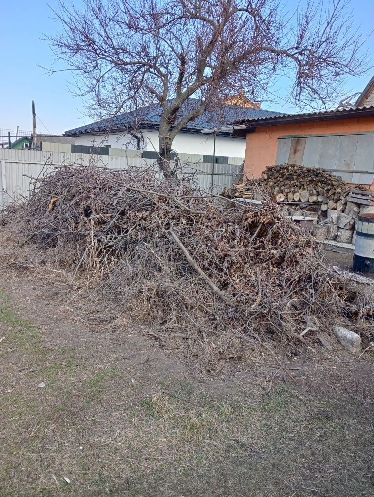 Вивіз сміття. Вивіз хлама що в вас є, будівельне сміття